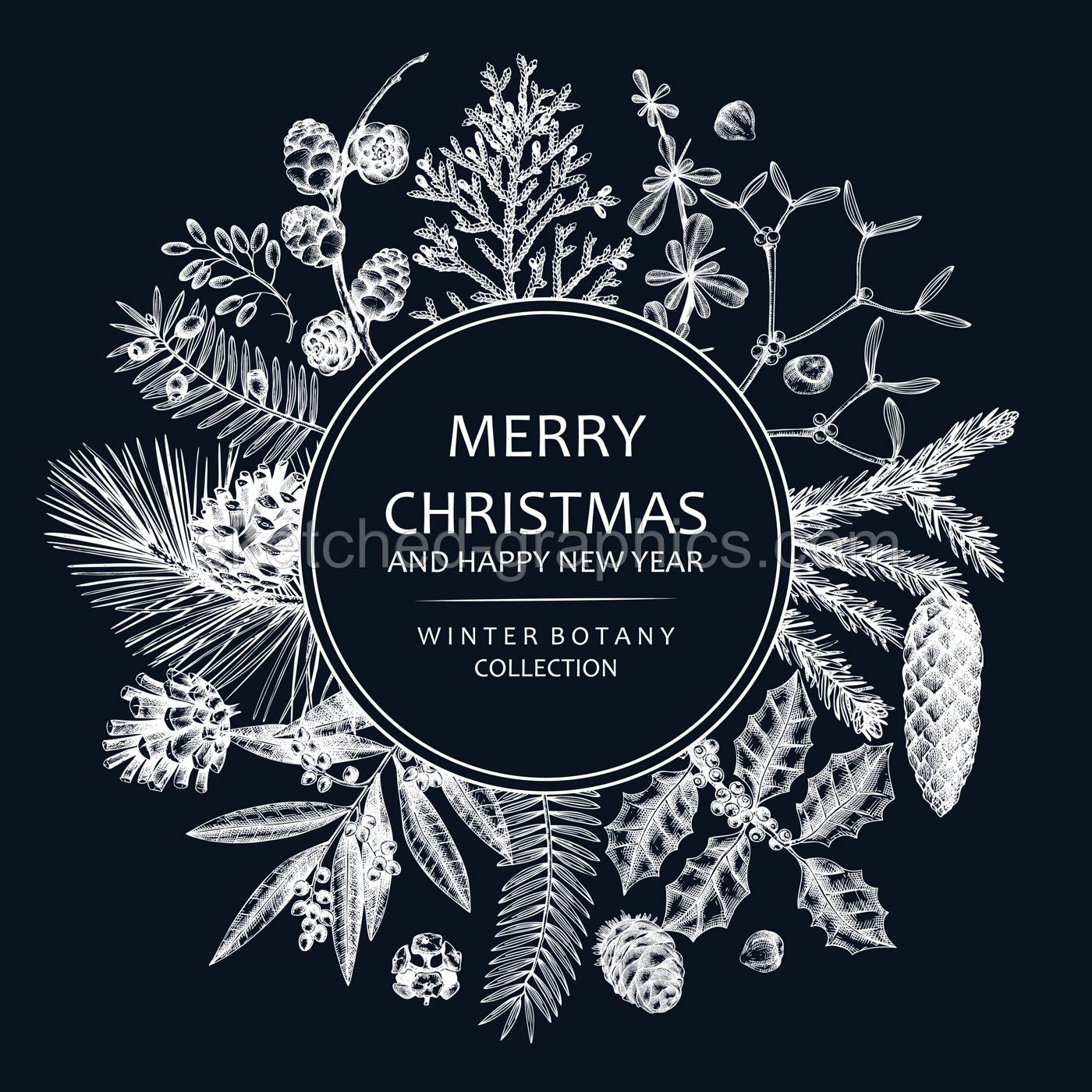 Merry Christmas card  on chalkboard with evergreen plants, conifers, and nuts drawing. Winter design with hand-drawn botanical illustrations. Vintage Christmas background, New Year invitation template Illustration